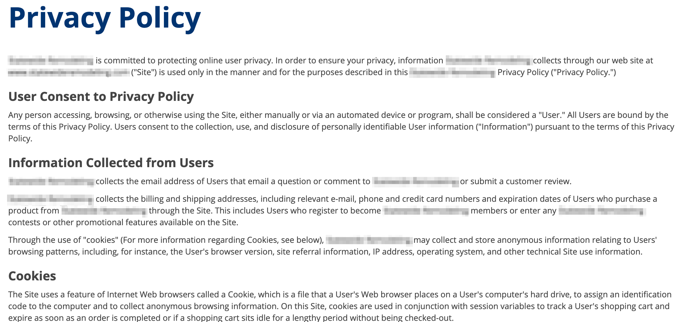 Example_of_privacy_policy.png